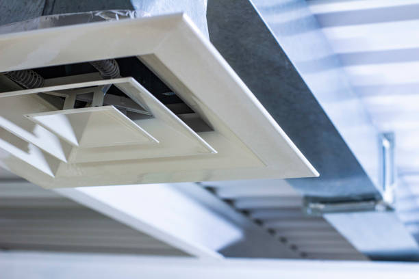 Best Air Duct Mold Removal  in Wake Forest, NC